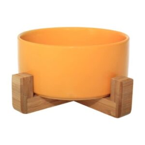 Ceramic Bowl with Bamboo Stand For Dogs & Cats - 5 Colours A