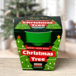 Grow Your Own Christmas Tree Growing Kit